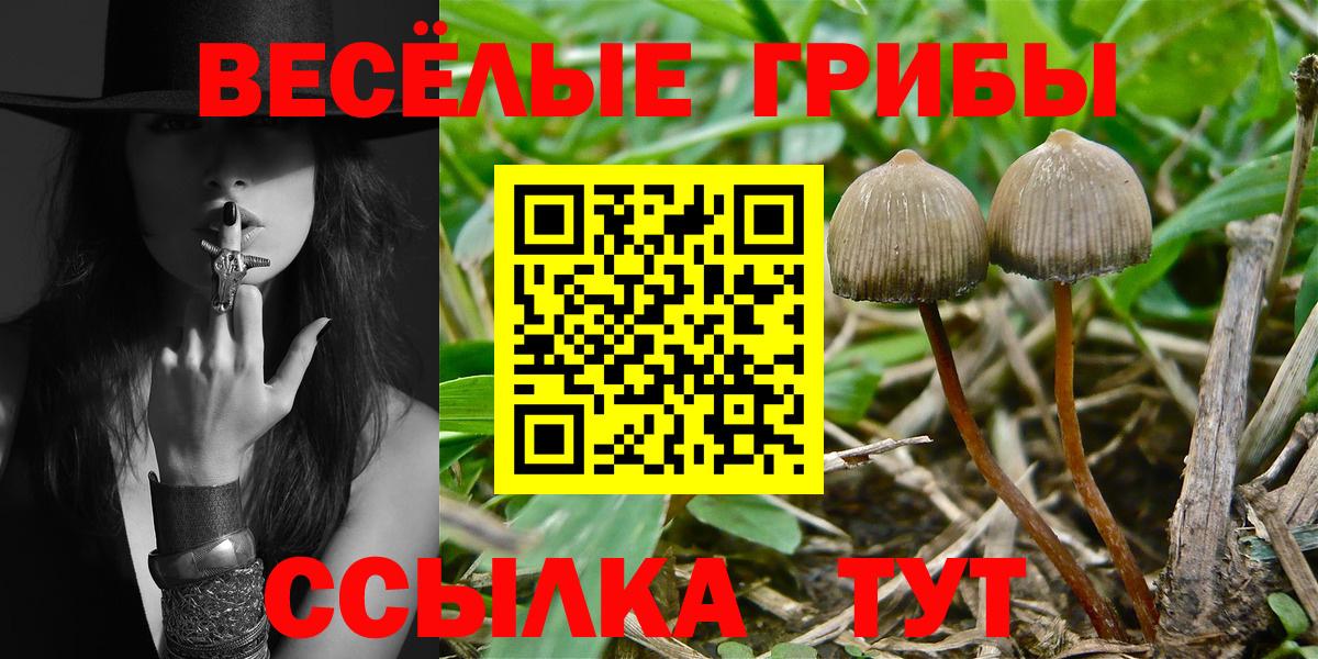 Армавир  Галлюциногенные грибы GOLDEN TEACHER  хочу   Вход с VPN 